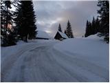 Zgornji Goreljek - Javorov vrh (Pokljuka)